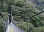 Suspension bridges get you up near the level of the treetops.  This is Diane and Drew Hagemann on the 2002 visit.
